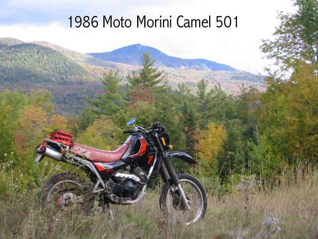 what is a dual sport bicycle